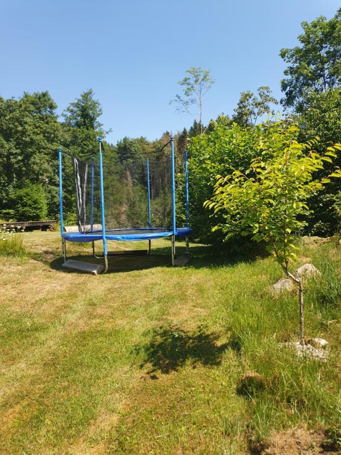 Chalet Des Charbonniers Avec Etang Saint-Maurice-sur-Moselle Exterior foto